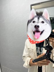 -藤野造型烫染接发