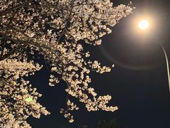 -西北湖绿化广场
