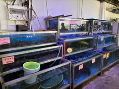-八仔大富楼·河鲜(西江店)