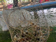 -光头佬钓虾场·烧烤·聚餐·亲子(金沙洲店)