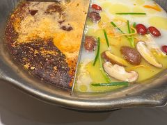 -九鼎轩脆毛肚火锅(三钢里店)