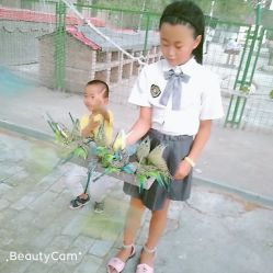 -上美四季动物农场