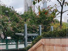 -香港佐治五世纪念公园