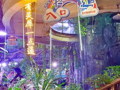 -正佳雨林生态植物园