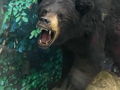 -国家自然博物馆