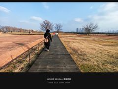 -盘龙城国家考古遗址公园