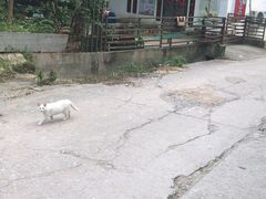 -火炉山森林公园