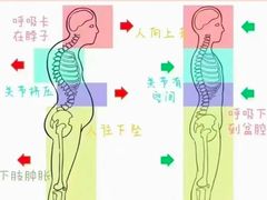 -体博士·疼痛调理·体态矫正·运动康复中心(大望路华贸店)