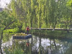 -南北湖风景区