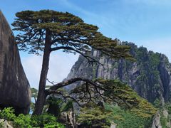 -黄山风景区