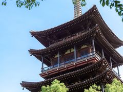 -大井咖啡店(大井巷店)