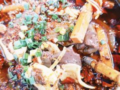 -青城甲(青城山店)