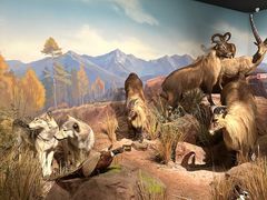 -陕西自然博物馆