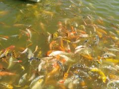 -北戴河圣蓝海洋公园