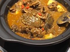 甲鱼肉-洪湘记川湘·甲鱼馆(四海凯悦美食广场店)
