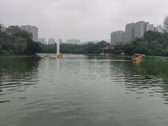 -莲湖公园