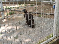 -秦皇岛野生动物园