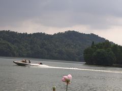 -东湖落雁景区
