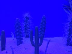 -芜湖新华联大白鲸海洋公园