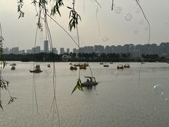 -洋湖国家湿地公园