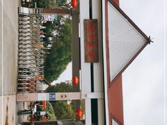 -上海都市菜园