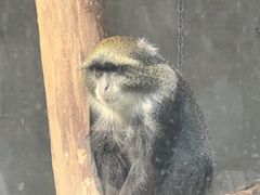 -太原动物园