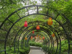-金鸡山公园