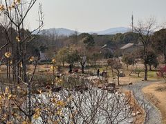 -无锡梅园公园
