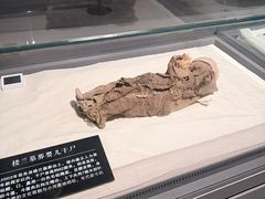 -巴音郭楞蒙古自治州博物馆