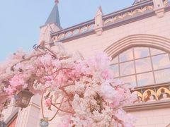 -荷兰花海