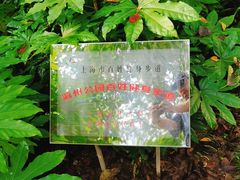 -瀛洲公园