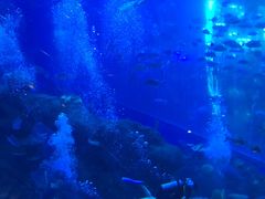 -成都浩海立方海洋公园