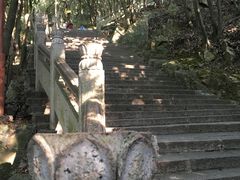 -普陀山风景区-佛顶山