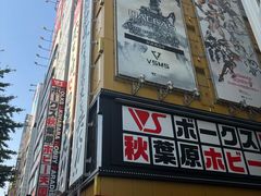 -秋叶原电器街