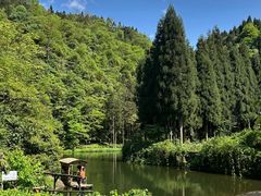 -龙苍沟森林公园