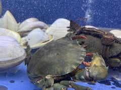 -白仁仔· 活烤海鲜 宵夜(豫园店)
