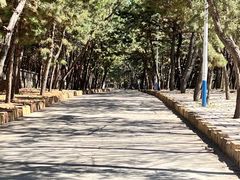 -山东大学(威海校区)