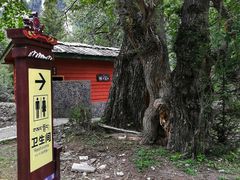 -米堆冰川