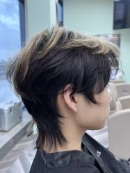 -IDOL-PLUS