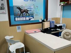 -宠颐生猫科·内科皮肤科(西平世纪城店)