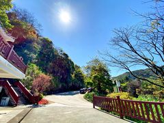 -广州市石门国家森林公园