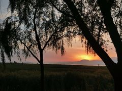 -野鸭湖国家湿地公园