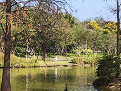 -森波拉奇妙世界