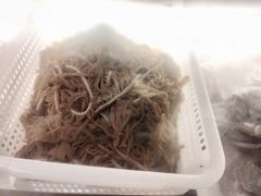 -广东海鲜坊(世纪海伦店)
