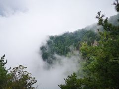 -陕西省红河谷森林公园