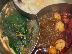 青瓷麻辣锅-青瓷火锅料理(西单大悦城店)