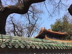 -北京国子监胡同