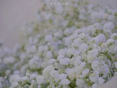 -循礼门鲜花花市(武汉循礼门店)