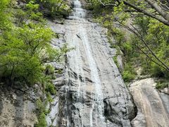 -王顺山国家森林公园