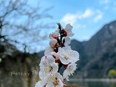 -秦岭终南山世界地质公园翠华山景区